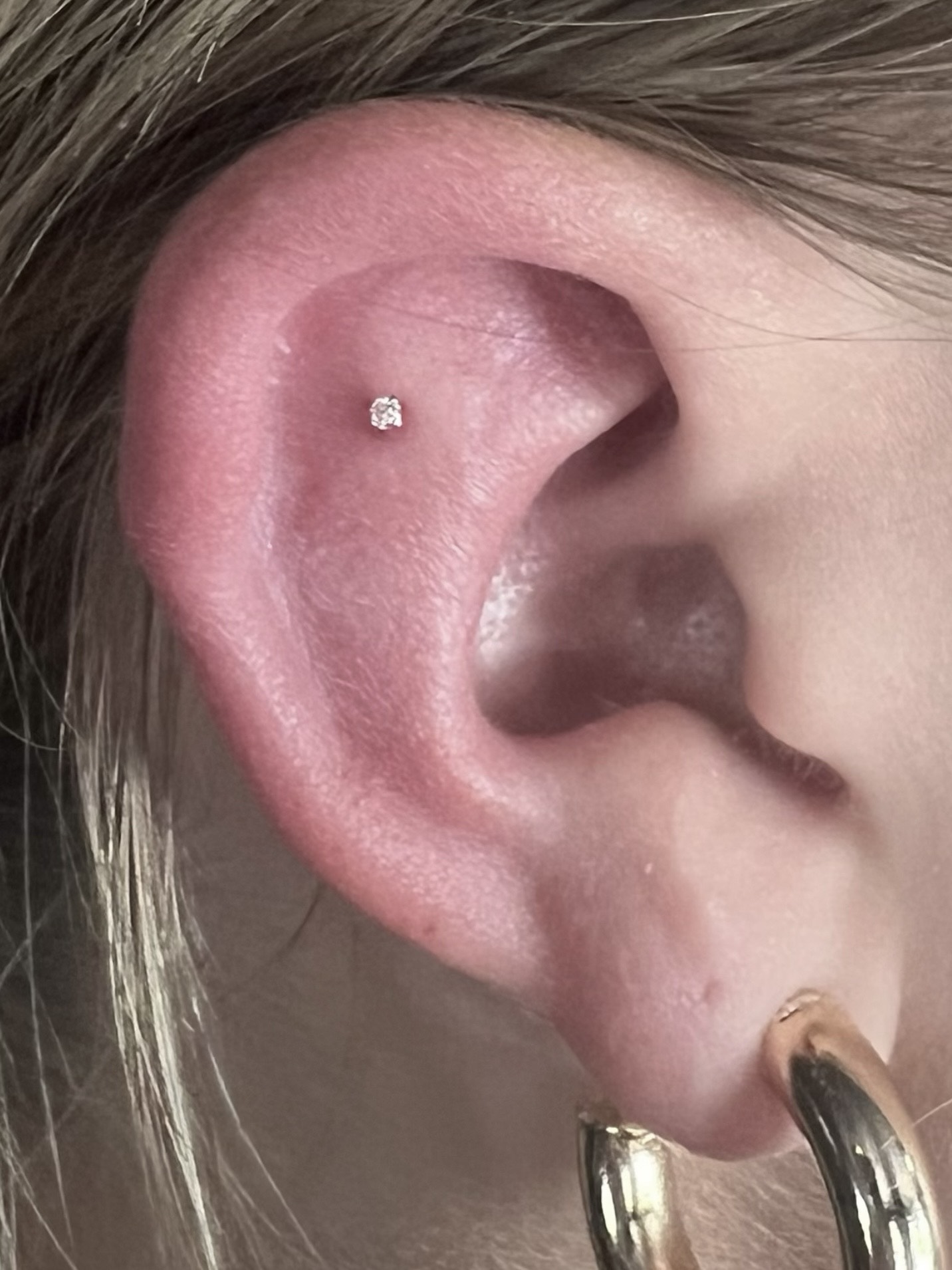 Jacee Moon Piercings